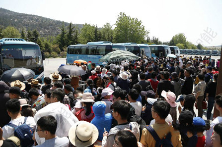 旅游景交车检票